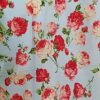 Mariam - Pale Blue and Rose Short-Sleeved Shirt - Image 4